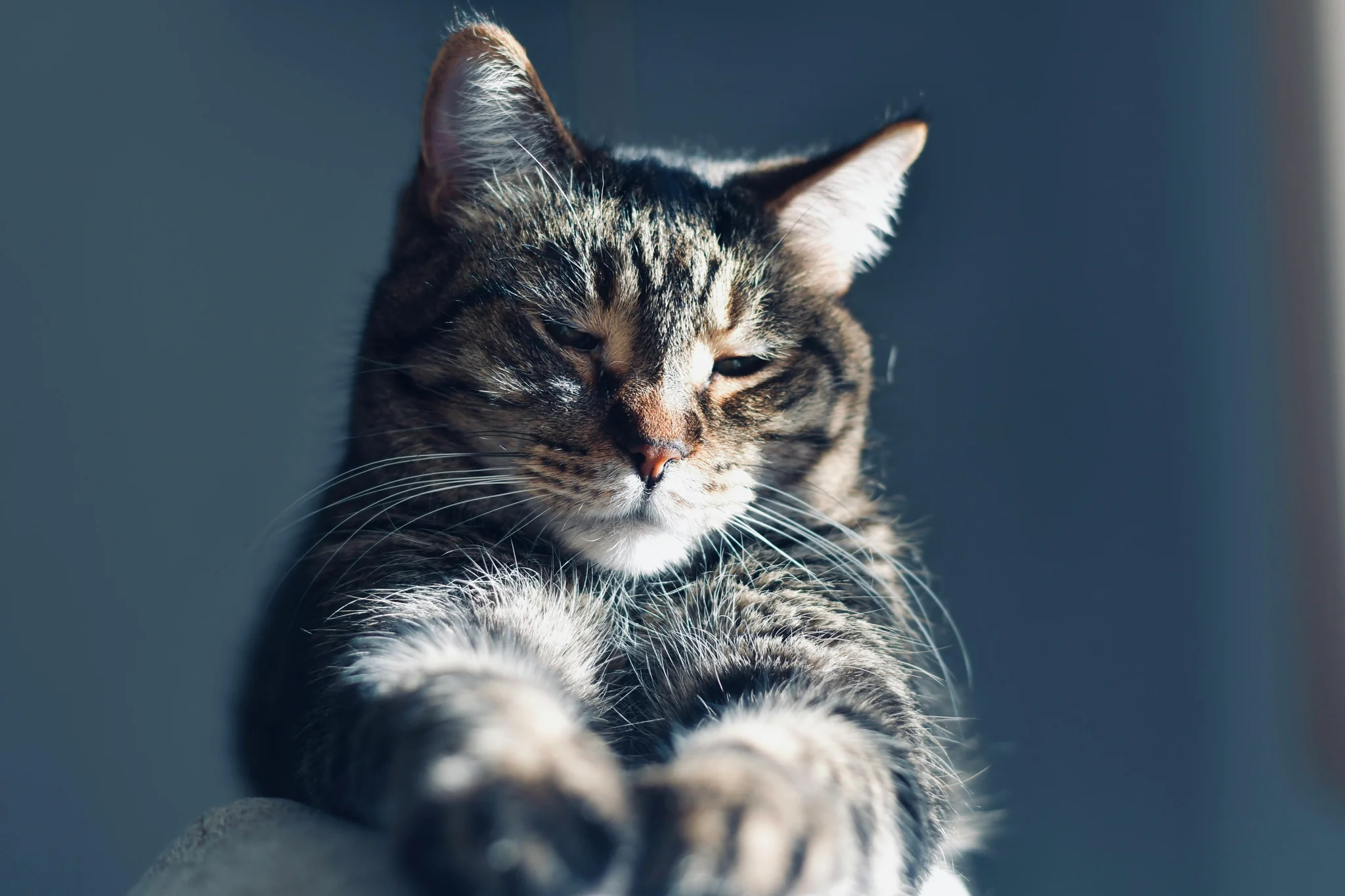 Digital marketing strategy and planning