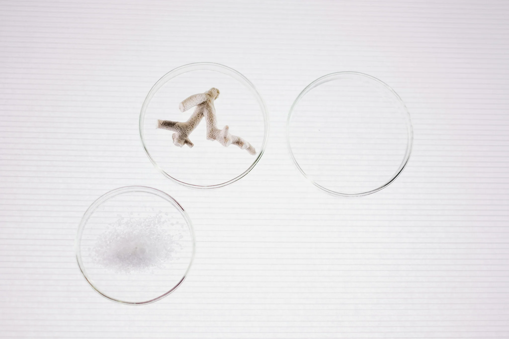 Marketing analytics dashboard on computer